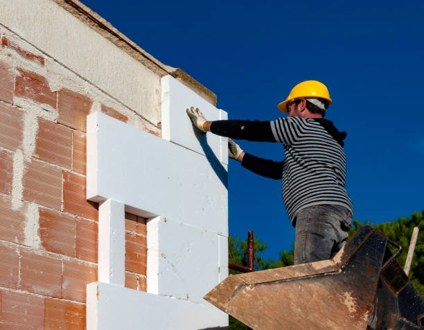 Best Specialty Insulation in Gray, LA